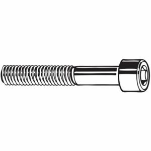 GRAINGER 6DA74 Socket Head Cap Screw, M12-1.75 Thread Size, 20 mm Length Plain, Stainless Steel | CQ4XKG