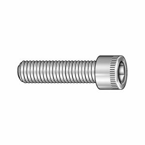 GRAINGER 6DA26 Socket Head Cap Screw, M5-0.8 Thread Size, 14 mm Length Plain, Stainless Steel | CQ4XCX