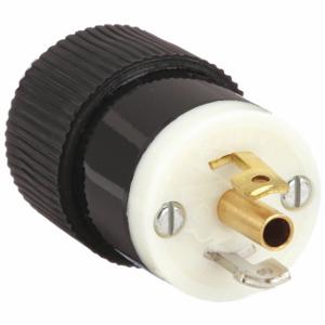 GRAINGER 7594NP Midget Locking Plug, ML2-15P, 125V AC, 15 A, 2 Poles, Black/White, Screw Terminals | CQ2FYP 49YX75