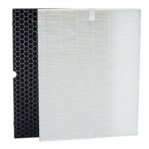 GRAINGER 786A20 Air Purifier Filter Replacement, Hepa/Carbon | CP7ATN