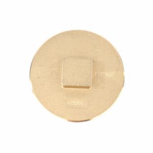 GRAINGER BPR200 Raised Square Plug, Brass, 2 Inch Fitting Pipe Size, Socket, 1/2 Inch Length | CQ2ZLH 60WY47