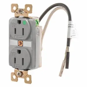 GRAINGER BRY8200GTR Receptacle, Duplex, 5-15R, 15 A, 125V AC, Gray, 2 Poles, Screw Terminals | CQ2EWR 52HD40