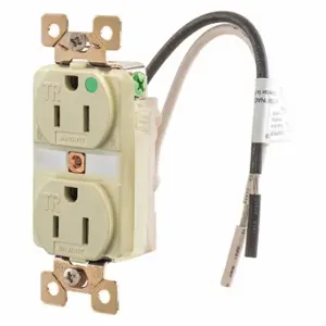 GRAINGER BRY8200ITR Receptacle, Duplex, 5-15R, 15 A, 125V AC, Ivory, 2 Poles, Screw Terminals | CQ2EXA 437L55