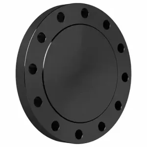 GRAINGER BULK-PF-556 Pipe Flange, Steel, Blind Flange, 8 Inch Size Pipe Size, Raised Face Blind Flange, Flange | CQ7WGP 60VL95