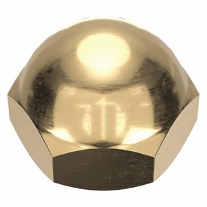 GRAINGER CPB055 Cap Nut, 7/16 Inch-20 Thread, Not Graded, Brass, 0.563 Inch Height, 3/4 Inch Hex Width | CP8JZC 6NU64