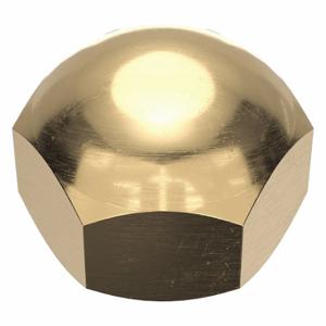 GRAINGER CPB230 Cap Nut, Extra Low Crown, 7/16 Inch-20 Thread, Plain, Not Graded, Brass, 0.563 Inch Height | CP8KAA 6UUX6