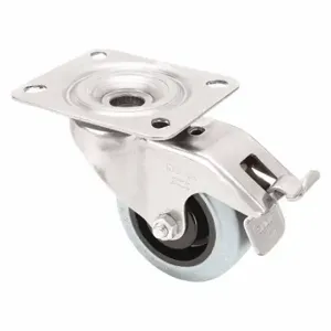 GRAINGER LEX-POEV 80XR-FI-SG Corrosion-Resistant Standard Plate Caster, 3 1/8 Inch Dia, Swivel | CQ6XXA 44YU43