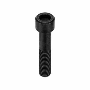 GRAINGER M12C60KCS Socket Head Cap Screw, M12-1.75 Thread Size, 60 mm Length Black Oxide, Alloy Steel, 50 PK | CQ4XAB 5YRG9