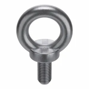 FABORY L16000.140.0001 Lifting Eye Bolt, 5000 Working Load, Low Carbon Steel C15E, M14X2 Thread Size, 60PK | CG7XJJ 176C14