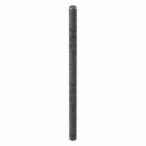 GRAINGER M39080.015.0020 Dowel Pin Steel 1.5 X 20Mm, 100PK | AH7WUA 38DT45