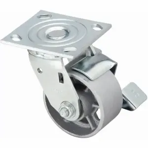 GRAINGER P21S-C040R-14-WB-DL Sanitary Plate Caster, 4 Inch Dia, 5 5/8 Inch Height | CQ2ZWL 489C45