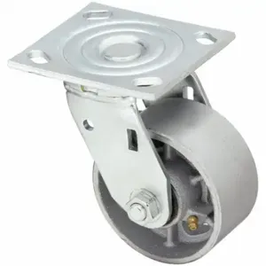 GRAINGER P21S-C040R-14 Sanitary Plate Caster, 4 Inch Dia, 5 5/8 Inch Height, B | CQ2ZWR 489D60