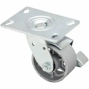 GRAINGER P21S-C040R-16-WB-DL Sanitary Plate Caster, 4 Inch Dia, 5 5/8 Inch Height, A | CQ2ZWP 489D76