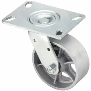 GRAINGER P21S-C050R-16 Sanitary Plate Caster, 5 Inch Dia, 6 1/2 Inch Height | CQ2ZXA 489A41