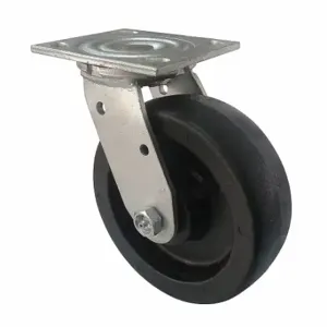 GRAINGER P21S-NMB040K-14 Sanitary Plate Caster, 4 Inch Dia, 5 5/8 Inch Height | CQ2ZWJ 489A51