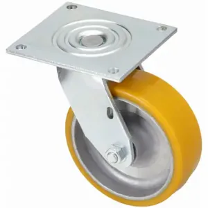 GRAINGER P21S-UA080R-15 Sanitary Plate Caster, 8 Inch Dia, 9 1/2 Inch Height | CQ2ZZJ 489A38