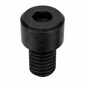 GRAINGER SCIA-120037-050P Socket Head Cap Screw, #12-24 Thread Size, 3/8 Inch Length, Std, Black Oxide, Steel, 50 PK | CQ4XGY 6ZE62