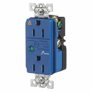 GRAINGER SP52IGA Receptacle, Duplex, 5-15R, 15 A, 125V AC, Blue, 2 Poles, Screw Terminals, Std Resist | CP8XUX 52HE22