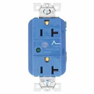 GRAINGER SP53A Receptacle, Duplex, 5-20R, 20 A, 125V AC, Blue, 2 Poles, Screw Terminals, Std Resist, 5-20 | CP8XVY 49YZ34