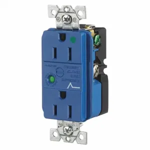 GRAINGER SP82A Receptacle, Duplex, 5-15R, 15 A, 125V AC, Blue, 2 Poles, Screw Terminals, Hospital Grade | CQ2EWL 49YZ36