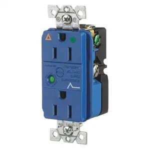 GRAINGER SP82IGA Receptacle, Duplex, 5-15R, 15 A, 125V AC, Blue, 2 Poles, Screw Terminals, Hospital Grade | CQ2EWK 49YZ37