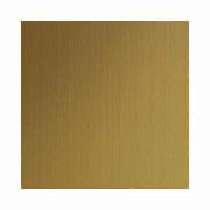 GRAINGER T22 Prestige Gold HL FPR -20Gx48x48 farbiges Edelstahlblech, Gold, 4 Fuß x 4 Fuß Größe, 0.035 Zoll dick, Haaransatz, B92 | CP8XQX 481G84