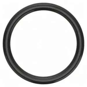 GRAINGER M38801.050.0450 O-Ring, 45 mm Inside Dia, 55 mm Outside Dia, 55 mm Actual Outside Dia, 10 PK | CQ3JWL 41KX79