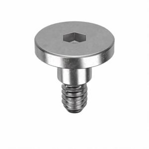 GRAINGER Z1902 Binding Screw, #10-24 Thread Size, 1/4 Inch Brl Dia, 316 Stainless Steel, Plain | CP7PRM 45GF24