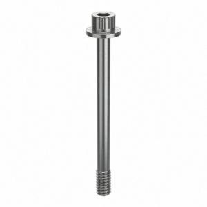 GRAINGER ZPS44014C38 Socket Head Cap Screw, 1/4 Inch-20 Thread Size, 2 13/16 Inch Size Length, Plain, SS | CQ4WDH 45FR71