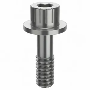 GRAINGER ZPS60114C06 Socket Head Cap Screw, 1/4-20 Thread Size, 13/16 Inch Size Length, Plain, Stainless Steel | CQ4WCL 45FV43