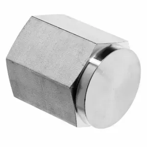 GRAINGER ZUSA-PF-7909 Instrumentation Cap, 304 Stainless Steel, 1/2 Inch Size Fitting Pipe Size, Female NPT | CQ7HZQ 60VF17