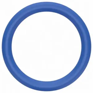 GRAINGER ZUSAV75MD114 O-Ring, 114, 5/8 Inch Inside Dia, 13/16 Inch Outside Dia, 75 Shore A, Blue, 5 PK | CQ3DFC 713U94