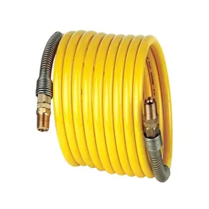 GUARDAIR 38X12B03 Nylon Hose, 3/8 Inch Internal Diameter, 12 Feet Length | CE8NDA