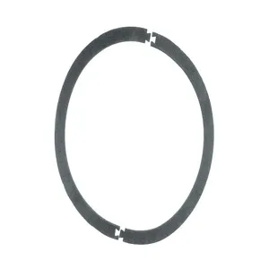 GUARDAIR N655 Vacuum Lid Gasket, 20 / 30 Gallon | AD2JTG 3PXR2