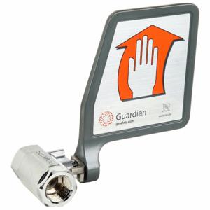 GUARDIAN EQUIPMENT AP600-101H Ball Valve With Flag Handle 1/2 Inch Ips | AC2PHC 2LVG6