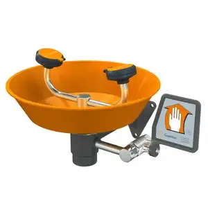 GUARDIAN EQUIPMENT G1750P Eye/Face Wash, Wall Mounted, Plastic Bowl | AC2PHU 2LVJ3