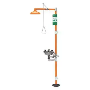 GUARDIAN EQUIPMENT G1909 Safety Station with Eyewash, 10 Inch Shower Head, 1 Inch Valve | CJ7EGF