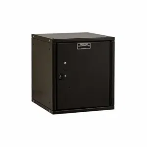 HALLOWELL HC121212-1PL-ME Box Locker, 11 Inch x 12 Inch x 13 in, 1 Tiers, 1 Units Wide, Solid, Padlock Hasp, Black | CR3NCG 30LW66