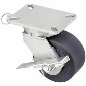 HAMILTON S-CH-63NYB-4SL-FB Standard Plate Caster, 6 Inch Dia, 8 Inch Height, Swivel | CR3NMU 45RH68