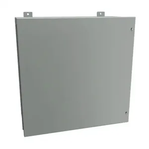 HAMMOND 1418JJ11 Enclosure, 24 x 24 x 11 Inch Size, Wall Mount, Carbon Steel, Ansi 61 Gray | CV7JHG