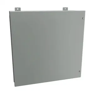 HAMMOND 1418JJ9 Enclosure, 24 x 24 x 9 Inch Size, Wall Mount, Carbon Steel, Ansi 61 Gray | CV7JHJ