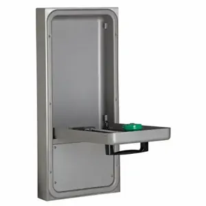 HAWS 7656WCSM Eye/Face Wash Lab Pull Down Wall | AG9CHR 16D397