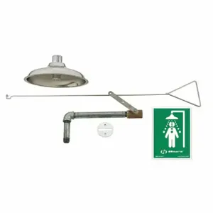 HAWS 8169 Emergency Shower Flush Ceiling 20 gpm | AG9CHB 16D381