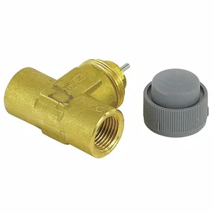 HONEYWELL V5862A2039 NPT Valve, 2 Way | BP4TAY 278Z55