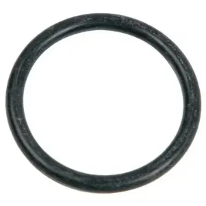 HOSHIZAKI 4A1234-01 O Ring | CR4EZC 24EU35