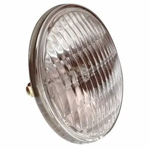 HUBBELL 0110157 Replacement Lamp For Lmw40i-fx | AB7WGQ 24D680