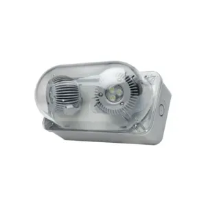 HUBBELL LIGHTING - DUAL-LITE DYNRD-4X Wet Location Remote Head, LED, Polycarbonate, Ceiling/End/Wall, 6 W Lamp Watt, 2 Lamps | CP3UPB 784H85