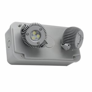 HUBBELL LIGHTING – DUAL-LITE DYNRD-4X Wet Location Remote Head, LED, Polycarbonat, Decke/Ende/Wand, 6 W Lampenwatt, 2 Lampen | CP3UPB 784H85