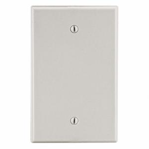 HUBBELL P13LA Blank Wall Plate, Blank, Plastic, Light Almond, 0 Outlet Openings, 0 Switch Openings | CR4FQL 784FF0