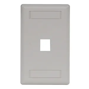 HUBBELL PREMISE WIRING IFP11OW Wall Plate 1 Port | AE4MTK 5LV22